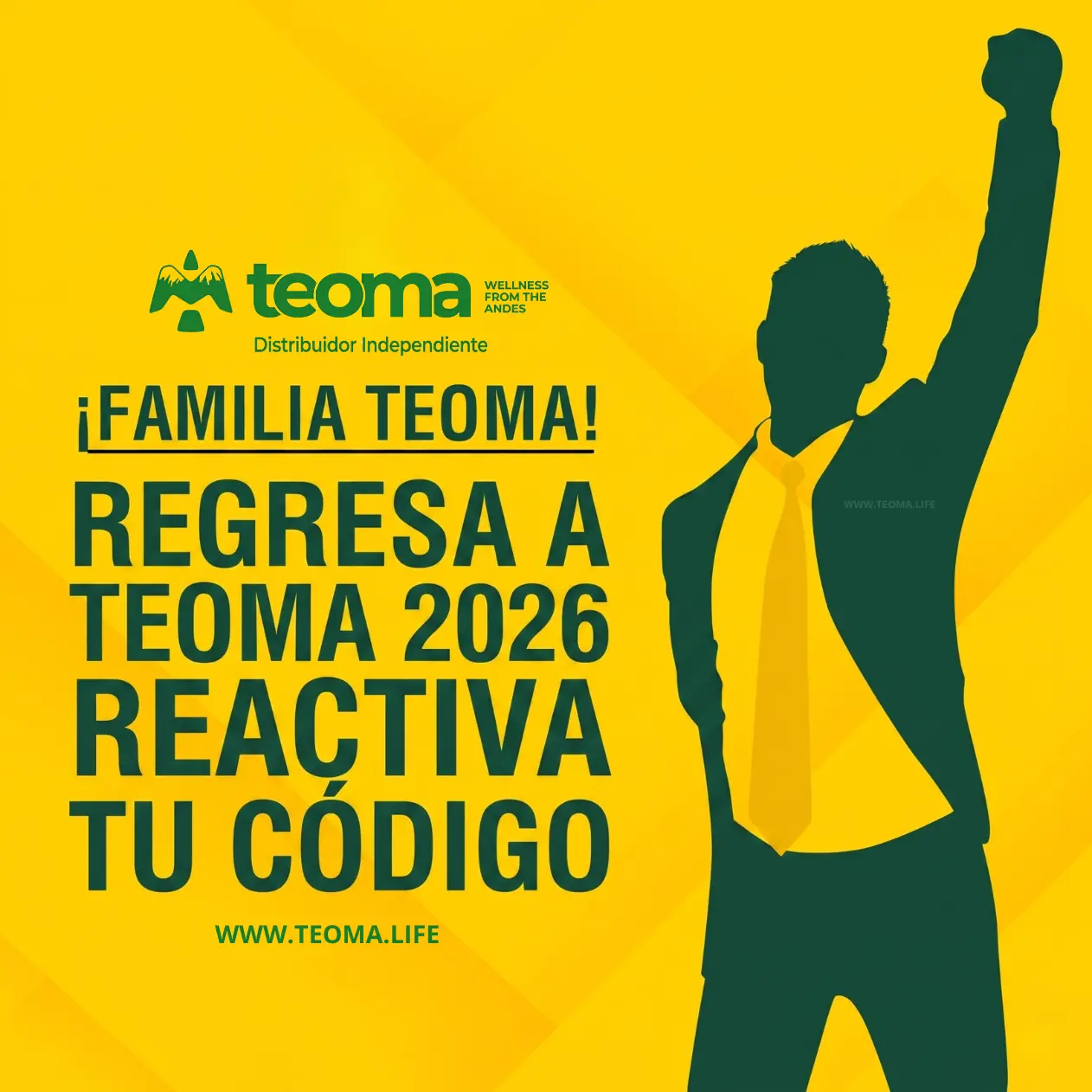 Regresa a Teoma 2026